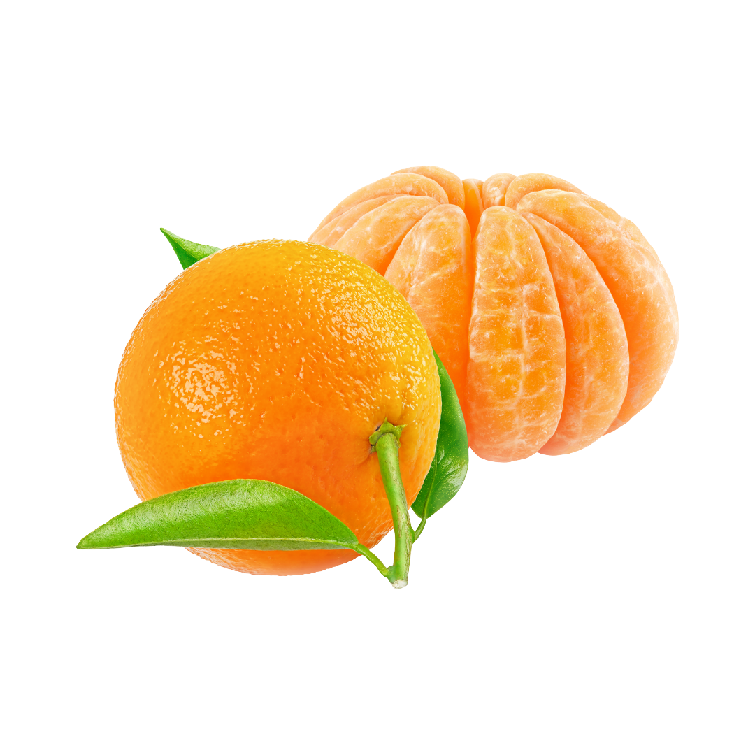 Cítricos de la familia Jiménez